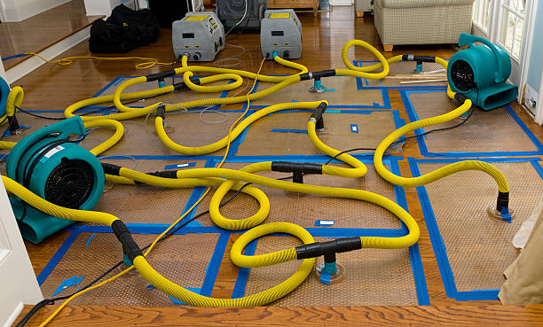 Professional Basement Flood Cleanup technician working in Batesburg, SC